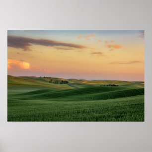 Sunset over Wheat Fields   Staat Washington Poster