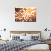 Sunset Oxeye Daisies Canvas Afdruk (Insitu (Slaapkamer))