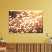Sunset Oxeye Daisies Canvas Afdruk (Insitu (Woonkamer))