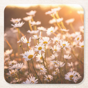 Sunset Oxeye Daisies Kartonnen Onderzetters
