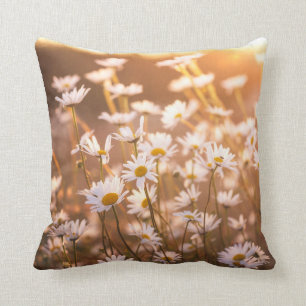 Sunset Oxeye Daisies Kussen