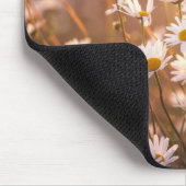 Sunset Oxeye Daisies Muismat (Hoek)