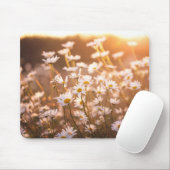 Sunset Oxeye Daisies Muismat (Met muis)