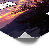 Sunset Paars Gold Photo Two Family Trees Poster (Hoek)