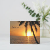 Sunset Palm Beach Peace Love Destiny Briefkaart (Staand voorkant)