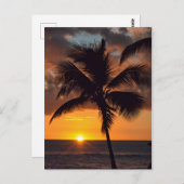 Sunset, Palm Trees en het Beach Briefkaart (Voorkant / Achterkant)