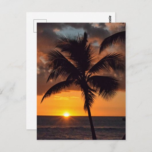 Sunset, Palm Trees en het Beach Briefkaart (Voorkant / Achterkant)