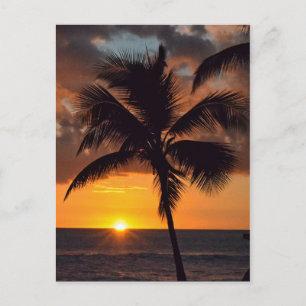 Sunset, Palm Trees en het Beach Briefkaart
