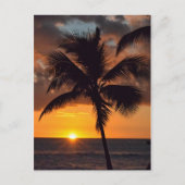 Sunset, Palm Trees en het Beach Briefkaart (Voorkant)
