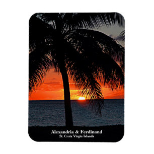 Sunset Palm Trees Ocean Beach personaliseren Magneet