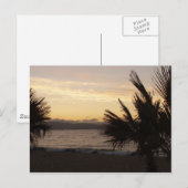 Sunset Palms Briefkaart (Voorkant / Achterkant)