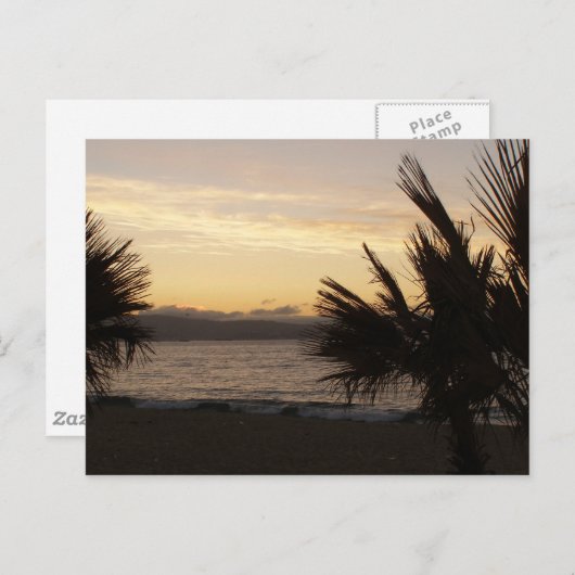 Sunset Palms Briefkaart (Voorkant / Achterkant)