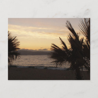 Sunset Palms Briefkaart