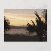 Sunset Palms Briefkaart (Voorkant)
