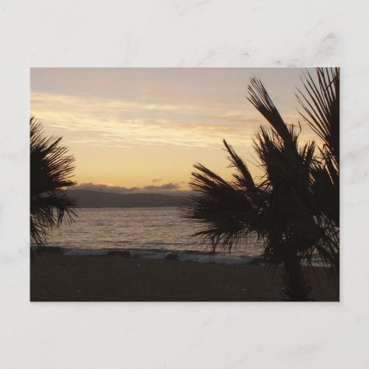 Sunset Palms Briefkaart (Voorkant)