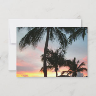Sunset Palms Tropical Landscape Photography