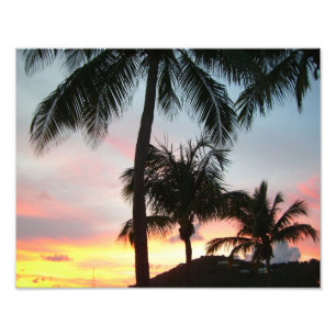 Sunset Palms Tropical Landscape Photography Foto Afdruk