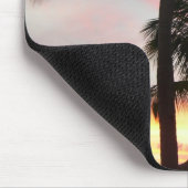 Sunset Palms Tropical Landscape Photography Muismat (Hoek)