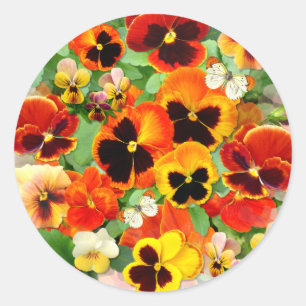 Sunset Pansies Hart Sticker
