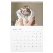 Sunset Park Cats | 2026 Agenda | Kittens Kalender (Jan 2027)