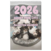 Sunset Park Cats | 2026 Calendar | Kittens Kalender (Hoes)