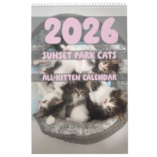 Sunset Park Cats | 2026 Calendar | Kittens Kalender (Hoes)