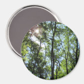Sunset Peking through the Trees Photo Magnet (Voorkant / Achterkant)