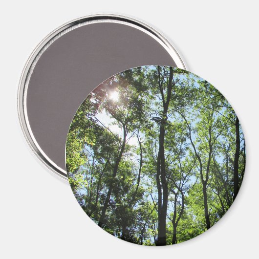 Sunset Peking through the Trees Photo Magnet (Voorkant / Achterkant)