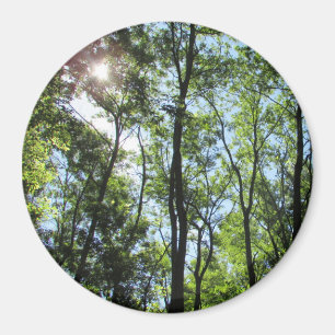 Sunset Peking through the Trees Photo Magnet