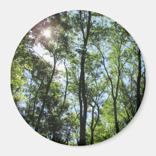 Sunset Peking through the Trees Photo Magnet (Voorkant)