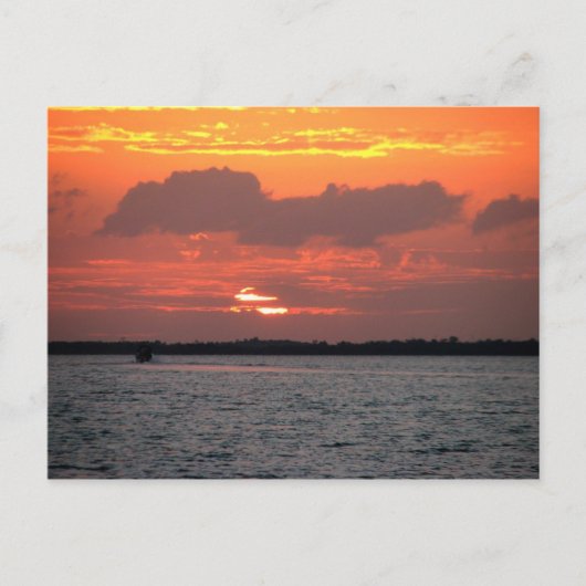 Sunset, Placencia, Belize Briefkaart (Voorkant)