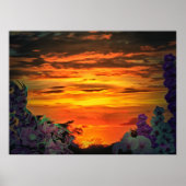 Sunset Plaza Marina 2584 Originele kunstdruk Poster (Voorkant)