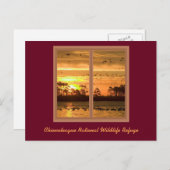 Sunset Post Card Chincoteague Briefkaart (Voorkant / Achterkant)