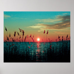Sunset Poster