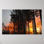 Sunset Poster (Voorkant)