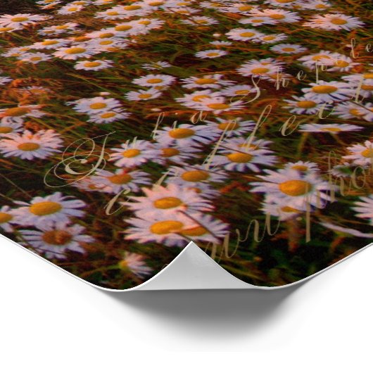 Sunset Poster (Hoek)