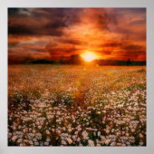 Sunset Poster (Voorkant)