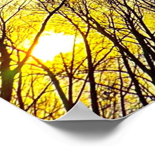 Sunset Poster (Hoek)