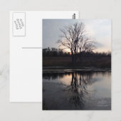 Sunset Reflections Photo Briefkaart (Voorkant / Achterkant)