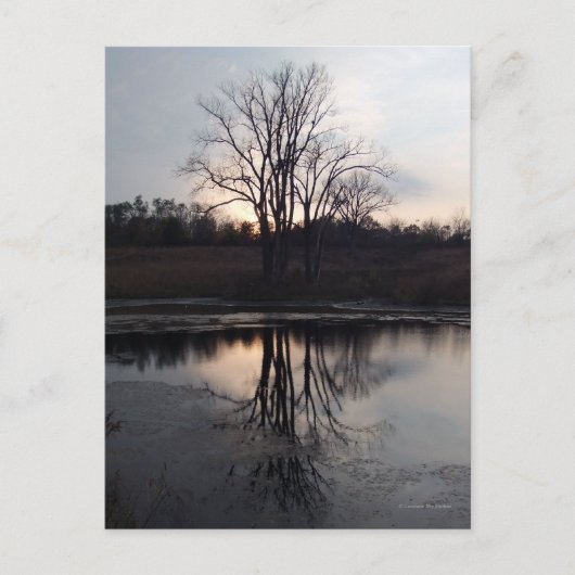 Sunset Reflections Photo Briefkaart (Voorkant)