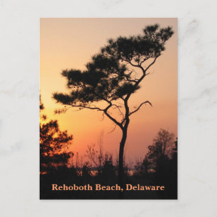 Sunset Rehoboth Briefkaart