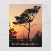 Sunset Rehoboth Briefkaart (Voorkant)