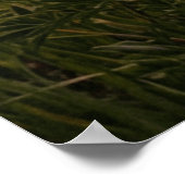 Sunset River Landscape Poster (Hoek)