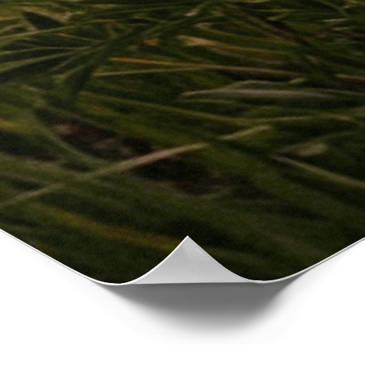 Sunset River Landscape Poster (Hoek)