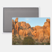 Sunset Rocks bij Joshua Tree Magneet (Voorkant / Achterkant)