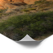 Sunset Rocks bij Joshua Tree Poster (Hoek)