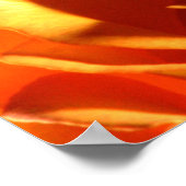 Sunset Roos Poster (Hoek)