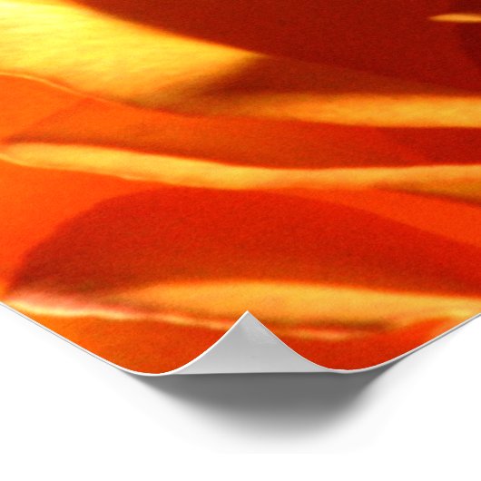 Sunset Roos Poster (Hoek)