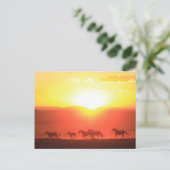 Sunset run briefkaart (Staand voorkant)