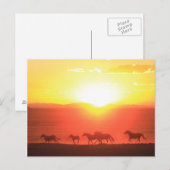 Sunset run briefkaart (Voorkant / Achterkant)